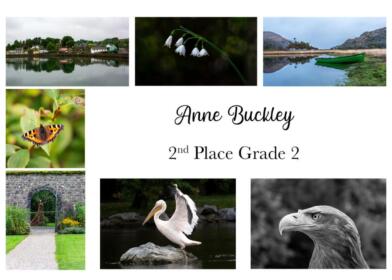08-2nd-Grade-2-Anne-Buckley