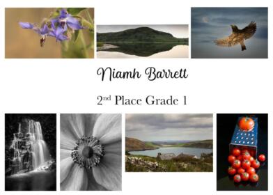 11-2nd-Grade-1-Niamh-Barrett