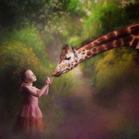 18-The-Girl-The-Giraffe-and-The-Butterfly-by-Viv-Buckley-FIPF-AFIAP