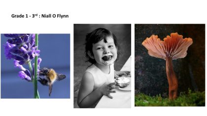 14-3nd-Grade-1-Niall-O-Flynn