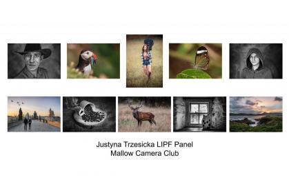 LIPF_Justyna_Trzesicka