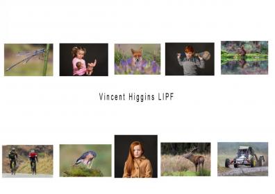 LIPF 2020 Vincent Higgins