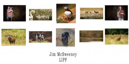 LIPF Jim McSweeney